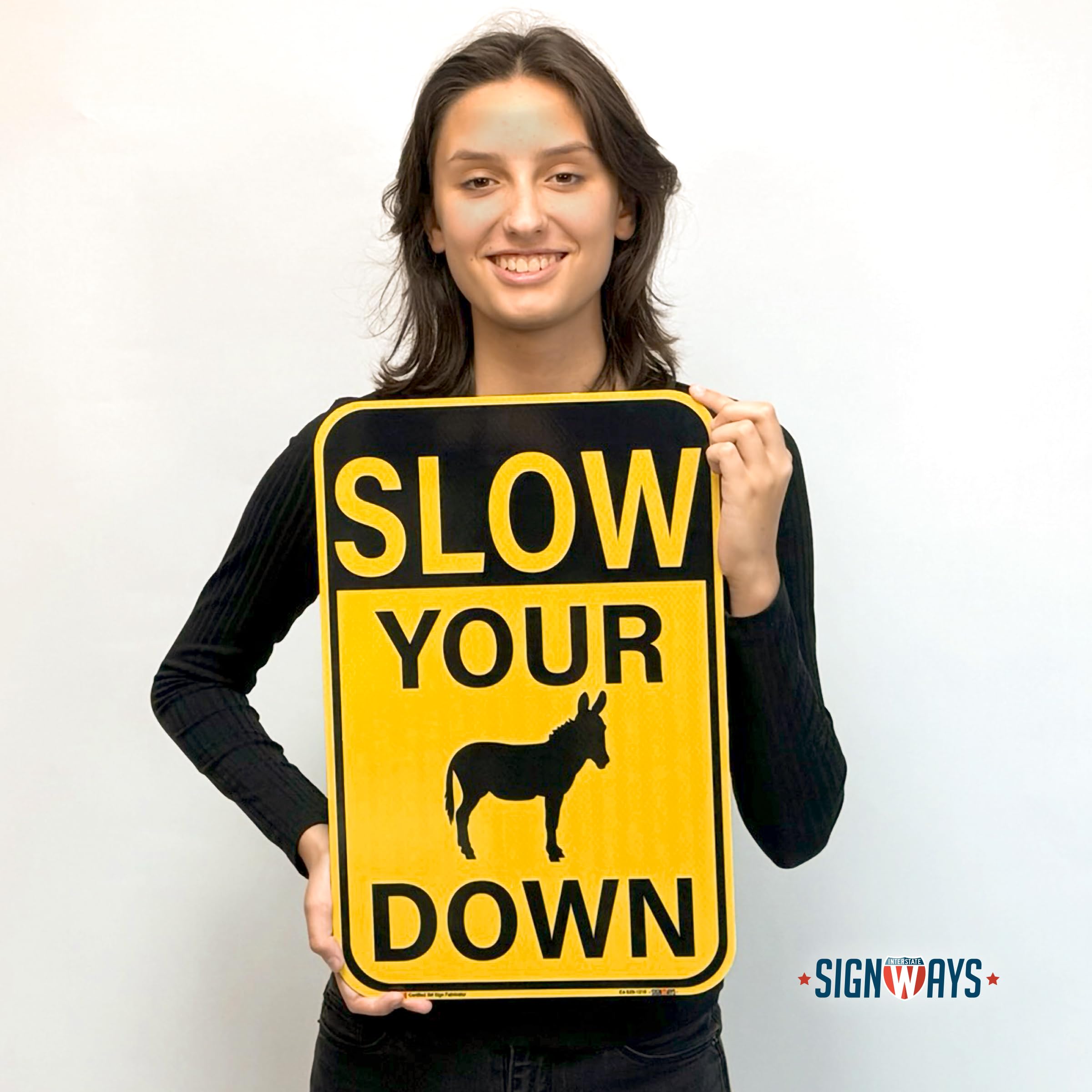 Amazon.com: SignWays Funny Slow Down Donkey Signs 12